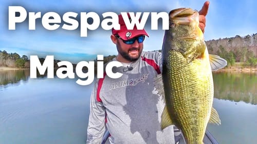 How to Fish for Largemouth Bass During Prespawn - Early Spring Fishing