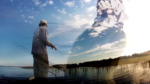 Double 8+ Pound Bass