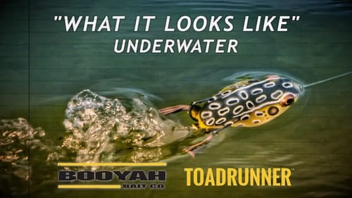 BOOYAH ToadRunner | What it Looks Like Underwater