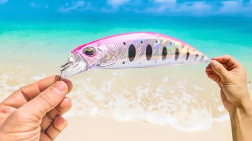 Fishing with Lures (Solo Island Camping)