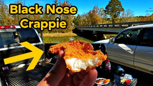 Trying to Do a Crappie "Catch n Cook"...