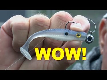 Master Winter Bass Fishing with Soft Swimbaits (Pro Tips!) | Bass Fishing