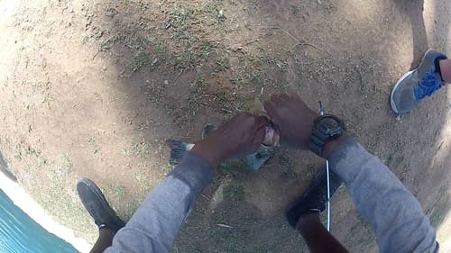 Catching Big Bass On Swimbaits