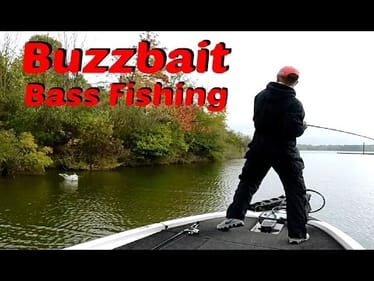 Bass Fishing HQ: Fall Buzzbait Fishing