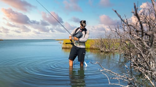 This Is How I Fish for Survival - Mangrove Forest Catch n’ Cook