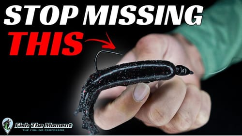 WARNING: You Will Lose HALF Your Fish Without This Modification
