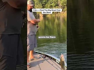 FALL=Big Shad=BIG Bass