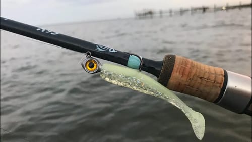 Does This Jig Head Catch You MORE Fish?