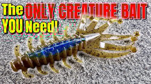The ONLY Creature Bait You'll EVER Need