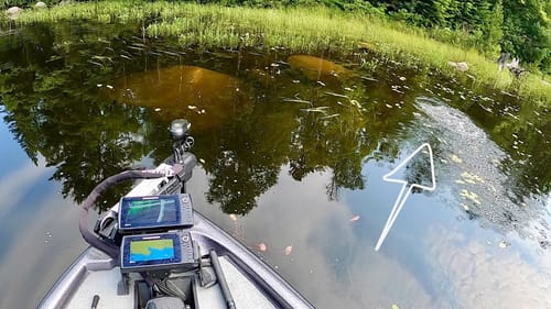 I LOST a GIANT Up Shallow!!
