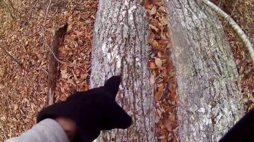 Solo Trip to the Off Grid Cabin, and a hike of the property
