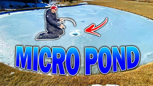 This TINY Hidden Puddle Holds GIANT Fish?!?! (Amazing Ice Fishing)