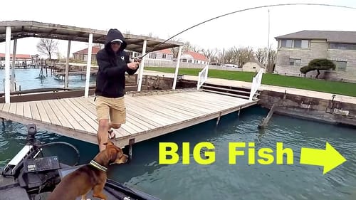 IMPOSSIBLE catch Bass Fishing URBAN Lake!!