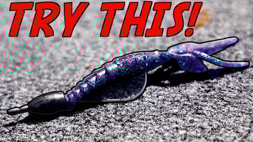 This PROVEN Texas Rig Will DOUBLE Your Catch!
