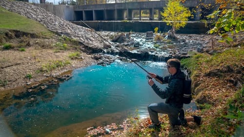 Chasing Clearwater Bass Trapped In This TINY URBAN Creek!