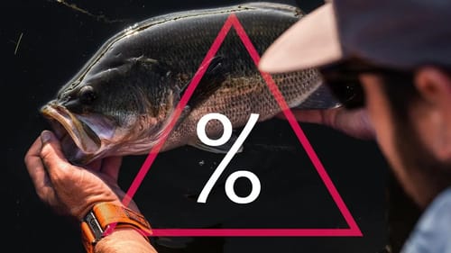 Catching Bigger Bass & Winning Fishing Tournaments w/ Palaniuk