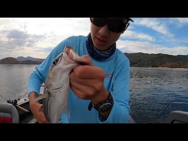 Windy Day on Silverwood Lake