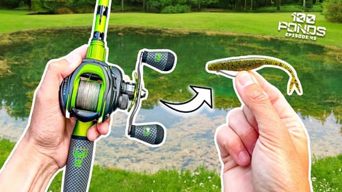 This Pond Lure ALWAYS Gets Bit! (100 Ponds Ep. 45)