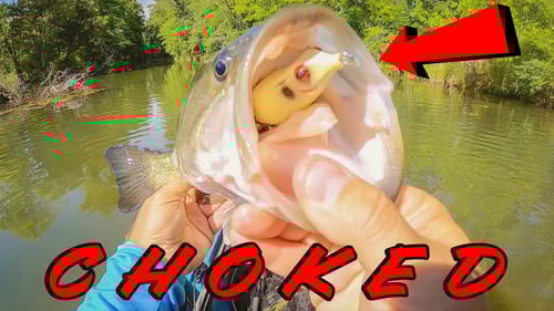 Summer Frog Fishing On Chickamauga!