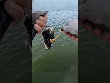 Big FLUKES Dominate TOURNAMENT Fishing