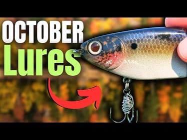 October Lures BASS Can't Resist