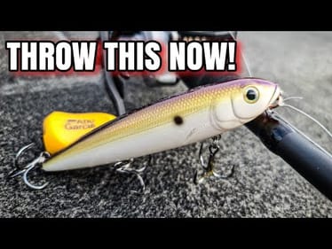 This Lure CRUSHED Fall Bass! (Topwater Bass Fishing)