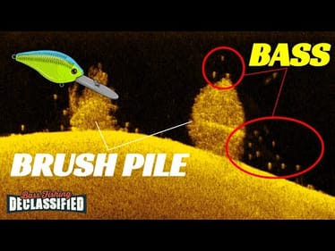 Want To Catch Big Bass In The Fall? This Is How!