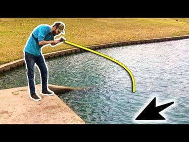 NEIGHBORHOOD PONDS have GIANT FISH!