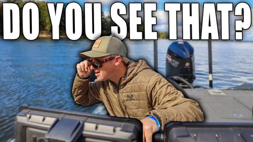 Do you see what I see???