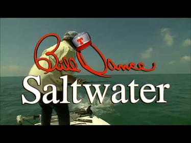 Paying Attention | Bill Dance Saltwater (Full Episode)