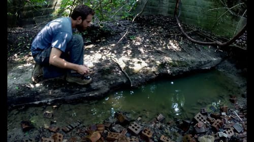 Tiny Creek Fishing