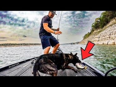 PURE CHAOS! Sunset Bass Fishing with my Dutch Shepherd Turns VIOLENT