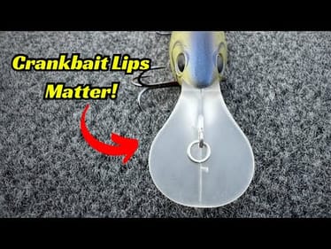 Crankbait Lips Matter!