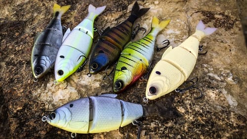 The Moment You've All Been Waiting For! 6th Sense Trace Swimbait Drop! A Very Special Unboxing