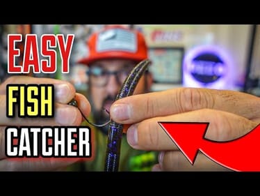 Can't Catch Bass? This ALWAYS Works!