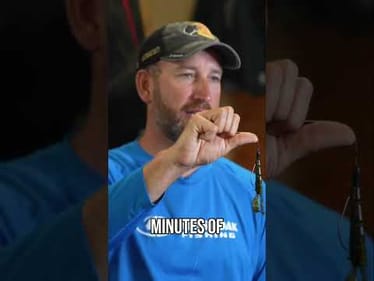 To peg or not to peg, that is the question?