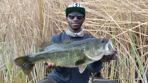 Catching Big Bass On Big Crankbaits!