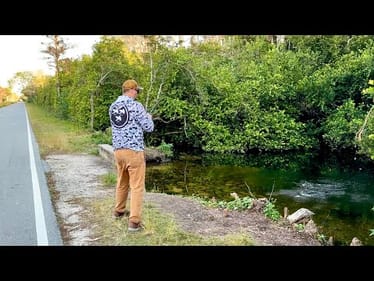 Florida roadside ditch fishing UNCUT 