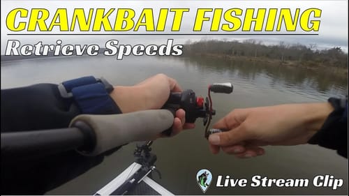Our Secret Crankbait Retrieves | FTM Live Stream #73