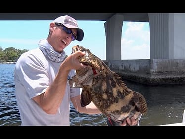 Mutant Goliath Bass Groupers Destroy Tackle