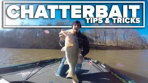 How to fish a Chatterbait (Tips & Tricks)