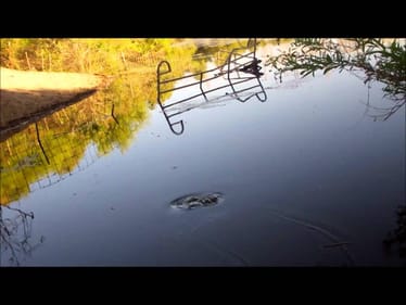 bass fishing with nightcrawlers