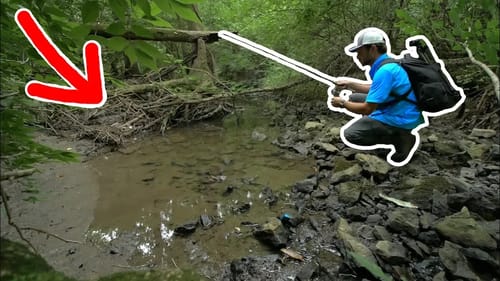 Fishing a TINY Creek I Found HIDDEN in the Woods! + MAIL TIME