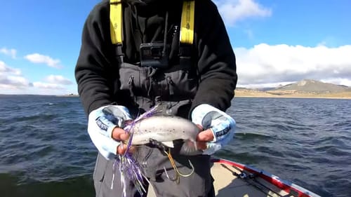 Swimbaits for European Pike - Big Pike Dreams Episode 9