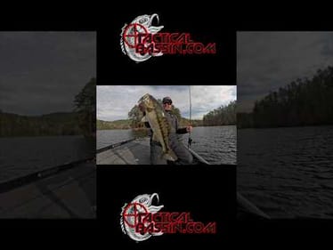 Don't Forget This Bait This Winter! 🎣