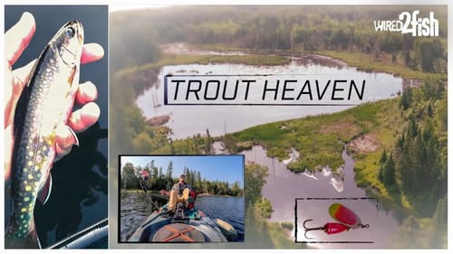 Exploring a Hidden Spring for Trout in a Kayak