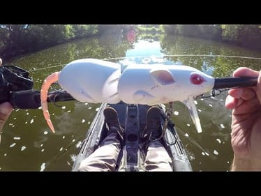Fishing A Big Rat Lure For River Beasts!
