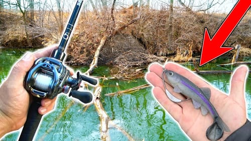 Surprise GIANT Catch Fishing a BIG Swimbait in a Pond!!! (Jon Boat Fishing)