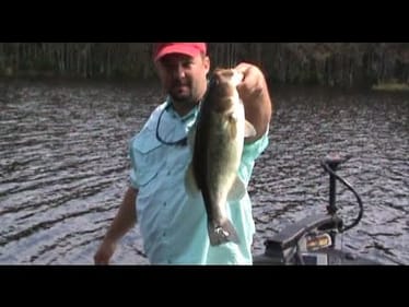 How to Fish a Jig
