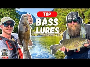 Top Bass Fishing Lures That Actually Perform